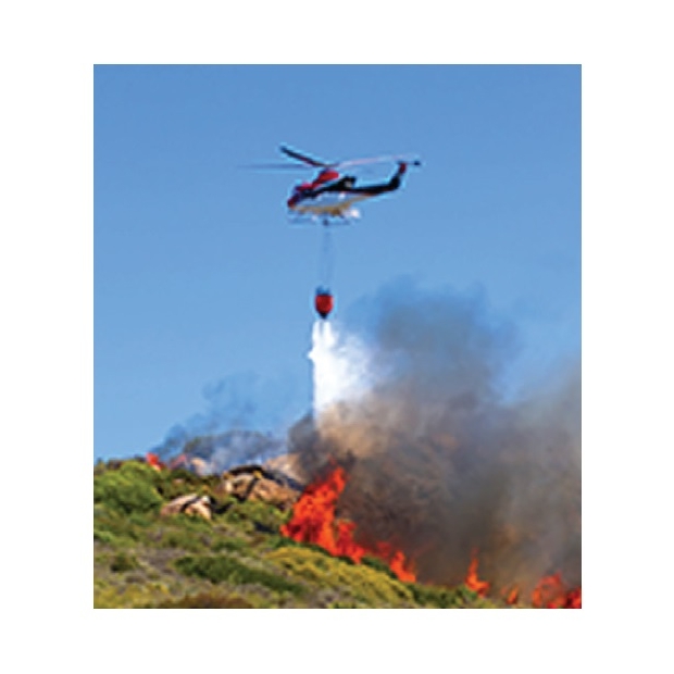 Forest simulator.jpg